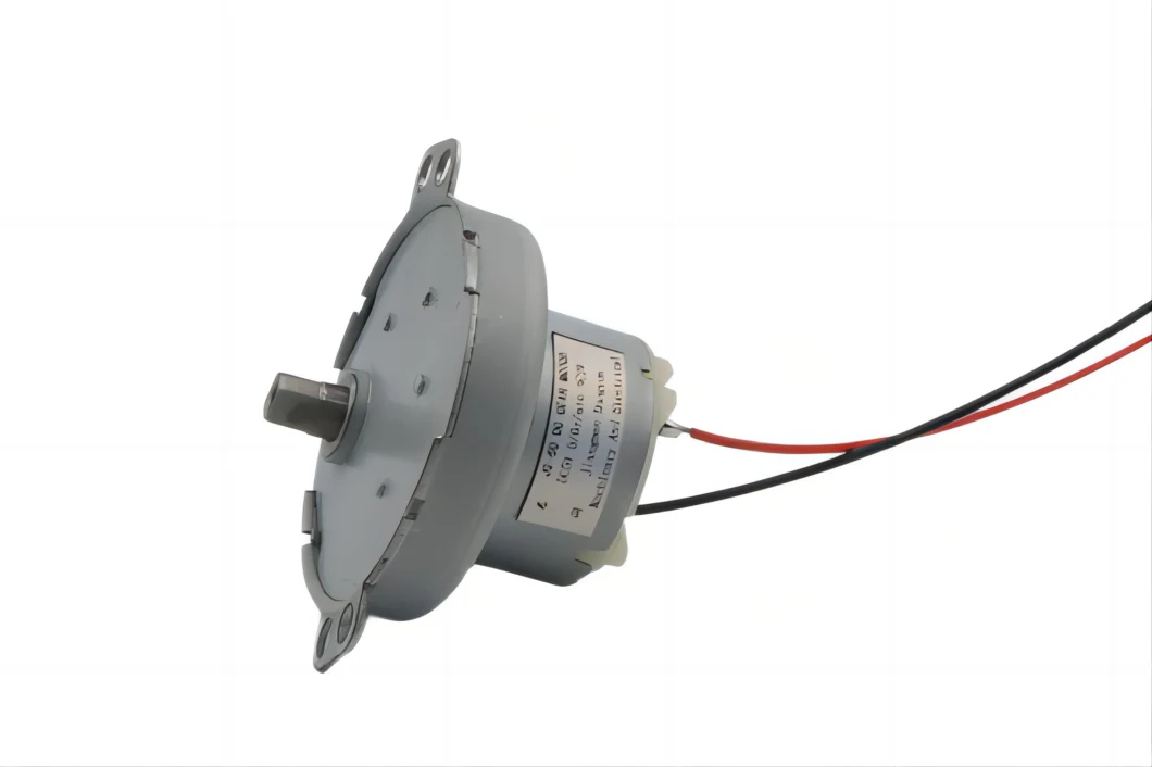 Micro-Permanent DC Motor Gear Motor Js-50