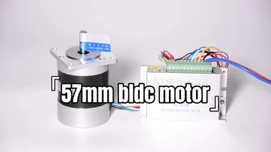 57 mm 60 mm 24 V 4000 U/min BLDC-Motor Hochgeschwindigkeitsmotor Bürstenloser Elektromotor ohne Vibration für Elektrowerkzeuge und Roboter