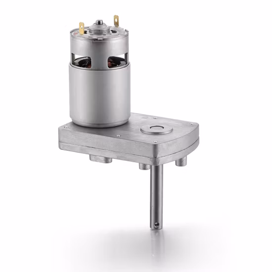 12 V 24 V hohes Drehmoment-Übersetzungsverhältnis 10,4 W 31 U/min elektrischer Mikrobürsten-Mini-Gleichstrom-Getriebemotor mit Rädern für Roboter/Verkaufsautomaten
