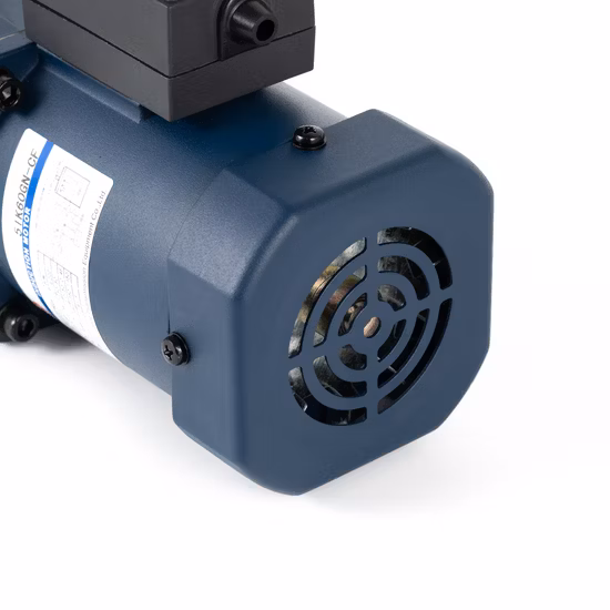Jianteng Wechselstrommotor 6W-750W BLDC-Elektromotor Dreiphasen-Gleichstrom-Synchrongetriebemotor Hohler rechtwinkliger Mikro-Einphasenmotor 60mm-104mm Herstellung