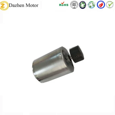 Kundenspezifischer exzentrischer 12-V-DC-Vibrationsmotor für Schönheitsprodukte