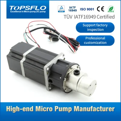 Magnetgetriebener Mikro-Zahnradpumpen-Gleichstrommotor