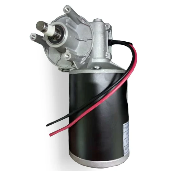 24V 150W DC Mikro-Schneckengetriebemotor Hersteller von Elektromotoren mit hohem Drehmoment in Europa